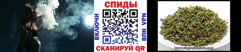 блэк спрут зеркало  Грязовец  БУТИРАТ 1.4BDO  купить закладку 