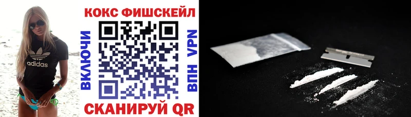 mega как зайти  продажа наркотиков  Грязовец  Кокаин FishScale 