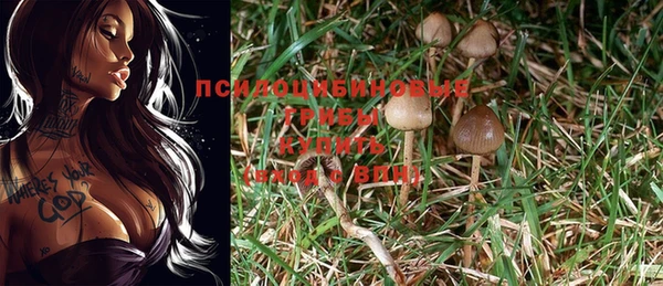 jwh Армянск